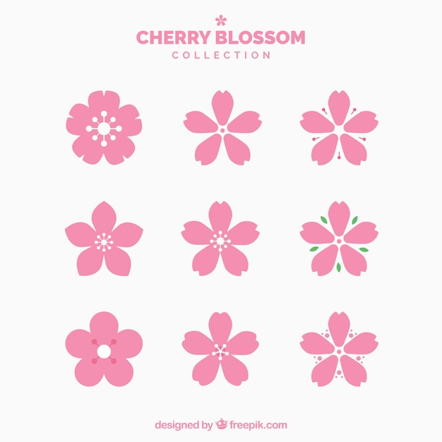 Vector collection of pretty cherry blossoms