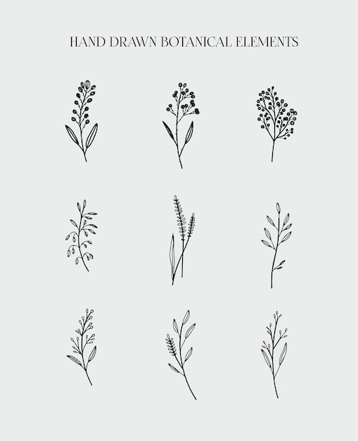 Collection realistic hand-drawn herbs and wildflowers. Vector.