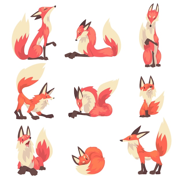 Vector collection of red foxes characters cartoon vector illustration on white background