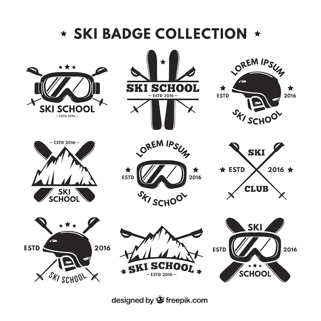 Vector collection of retro ski logo