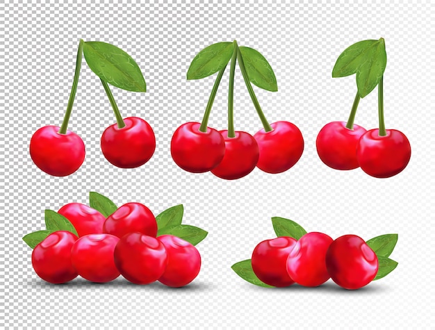 Collection ripe fresh cherry with green leaves on transparent space.