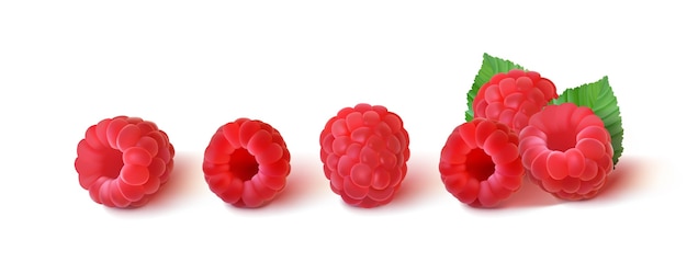 Collection of ripe raspberries with leaves isolated on a white background