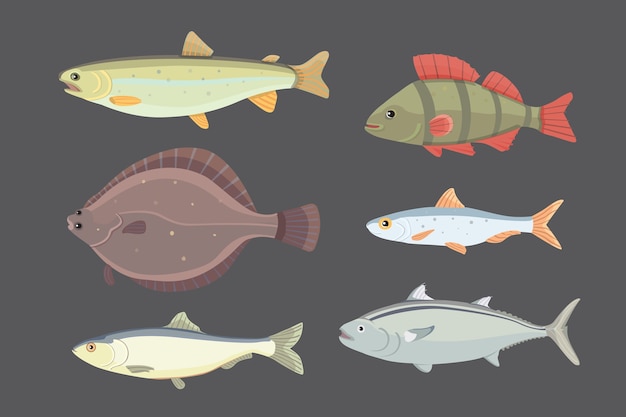 Vector collection of river fish