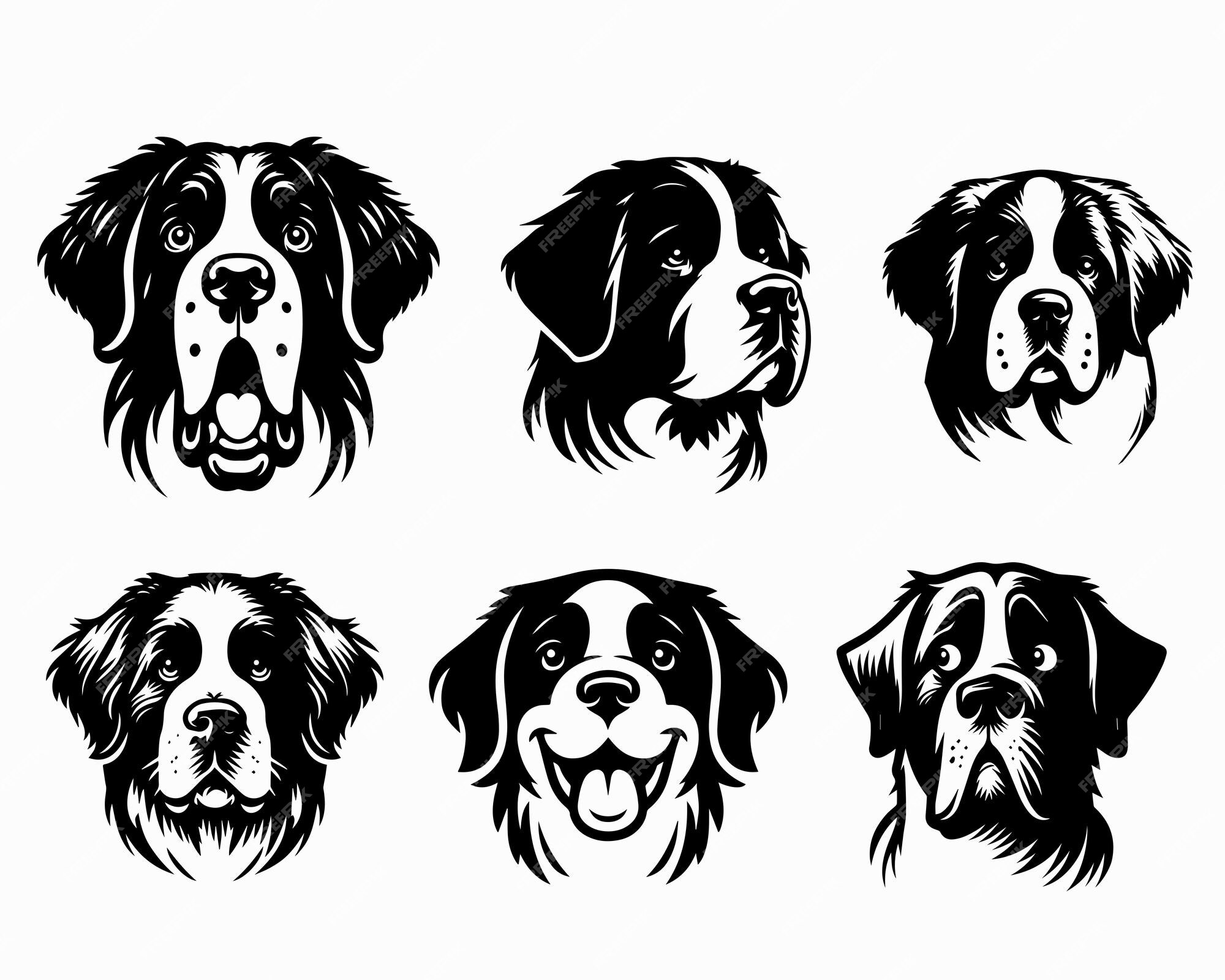 Collection of Saint Bernard Dog Face vector illustration Saint Bernard