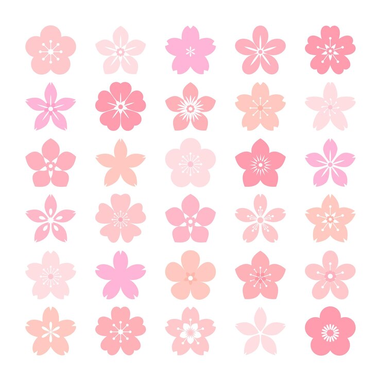 Vector collection of sakura or cherry blossom with variety of designs