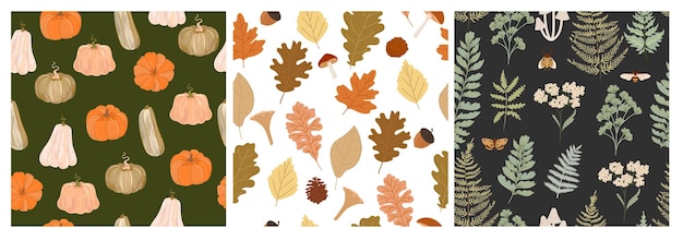 가을 식물과 호박이 있는 매끄러운 패턴의 컬렉션입니다. 편집 가능한 벡터 일러스트 레이 션.