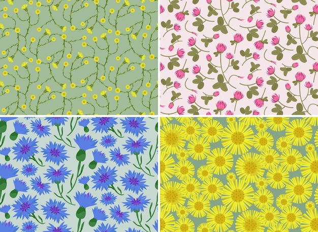 Collection of seamless patterns with wildflowers