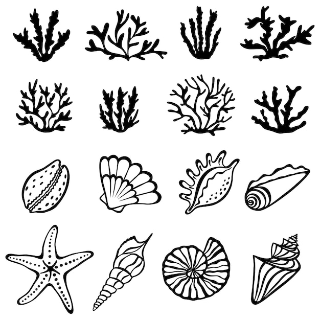 貝殻藻類とサンゴのコレクション