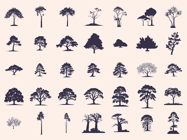 Collection Set 11