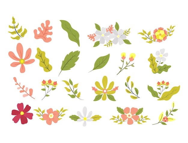 Vector collection set leaves and flowers