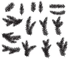 Вектор Набор сбора реалистичные еловые ветви силуэт для рождественской елки, сосны. векторная иллюстрация eps10