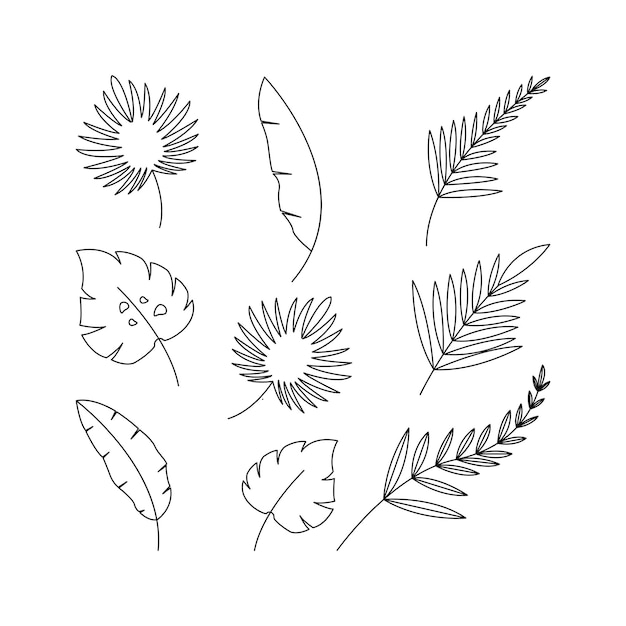 Vector collection set of palm leaves line outline isolated on white background