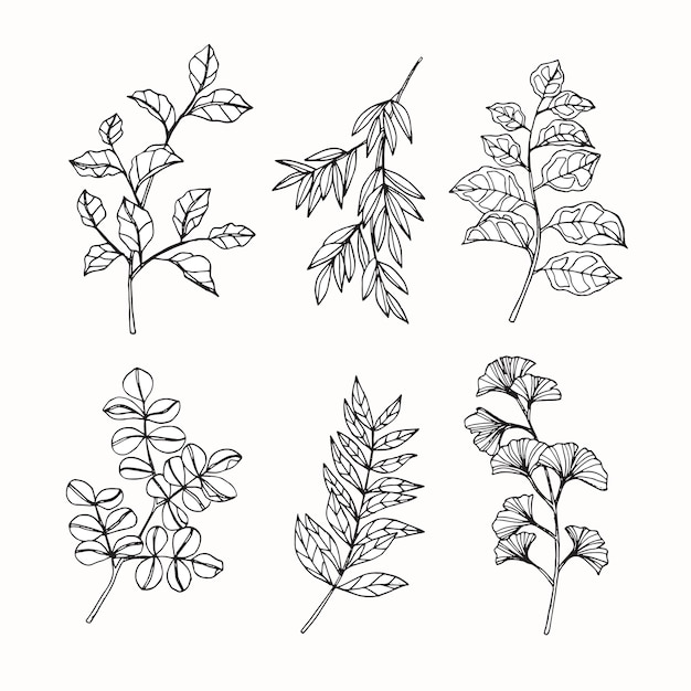 Collection set of tropical leaves drawing illustration