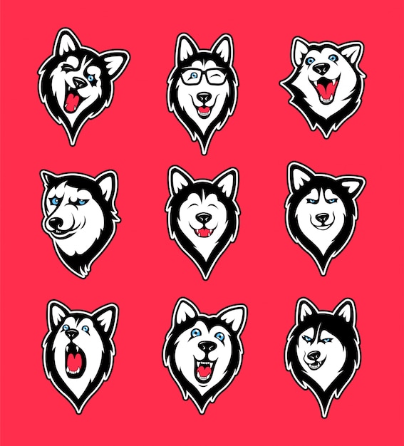 Collection of siberian husky stickers