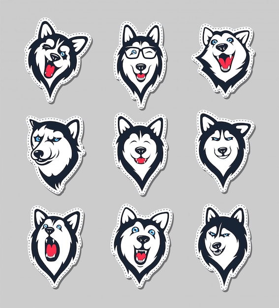 Vector collection of siberian husky stickers