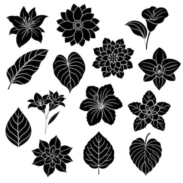 Collection of silhouette flower and leaf elements