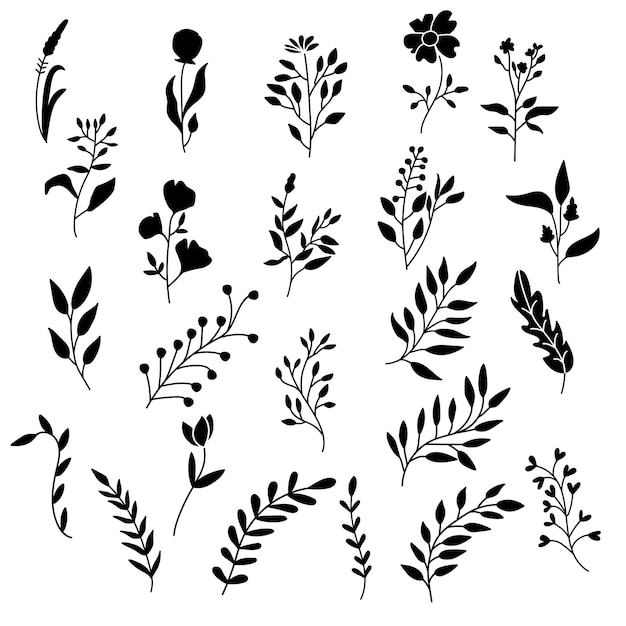 Collection of silhouette wildflowers elements