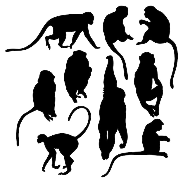 Collezione sagome scimmia illustrazione vettoriale primati isolati su sfondo bianco
