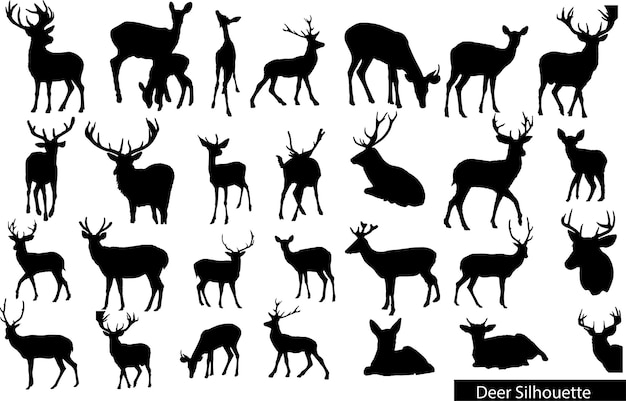 Collection of silhouettes of wild animals - the deer family