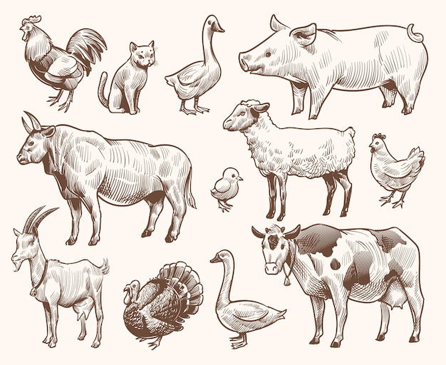 Vector collection of sketch farm animals