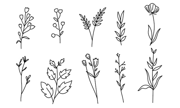 Collection of sketched wildflowers and leaves on white background artistic flora depiction