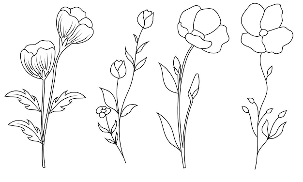 Vector collection of sketched wildflowers and leaves on white background artistic flora depiction