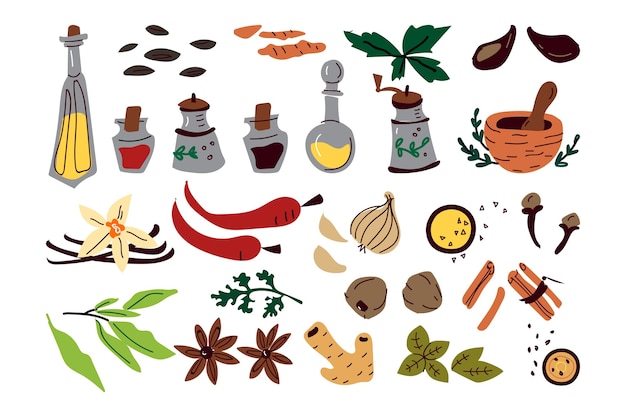 Collection of sketches different condiments herbs