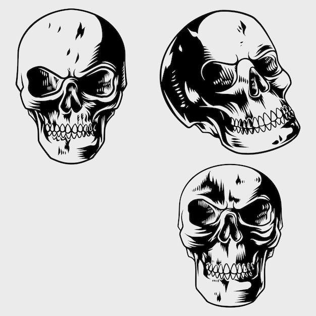 a collection of skull illustrations with various models