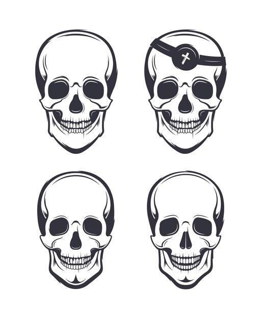 Collection of skulls