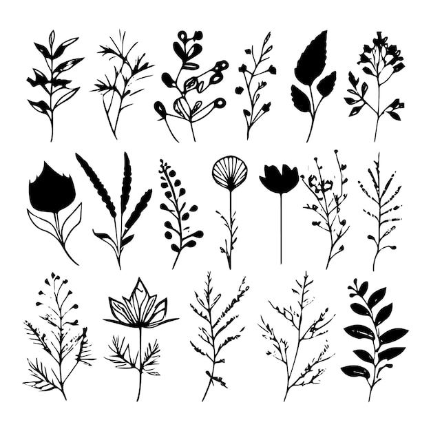A collection of small plants with different shapes and sizes vector illustration Hand drawn plants