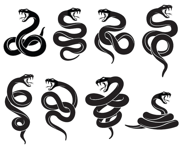 Vector collection of snakes