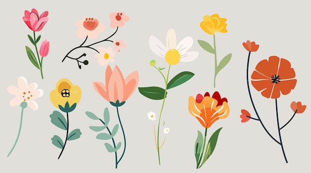 Collection of spring colorful bouquet flower elements vector Set Botanical floral of wild flower
