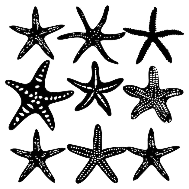 a collection of starfish with black dots and a white background