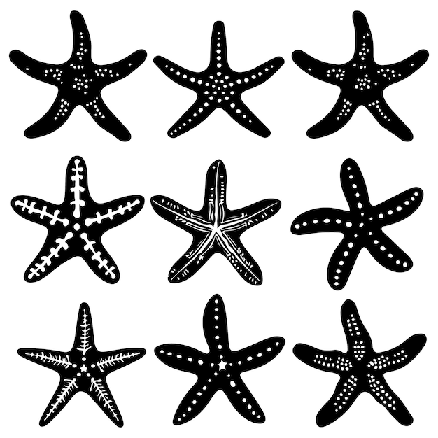 a collection of starfish with a white background