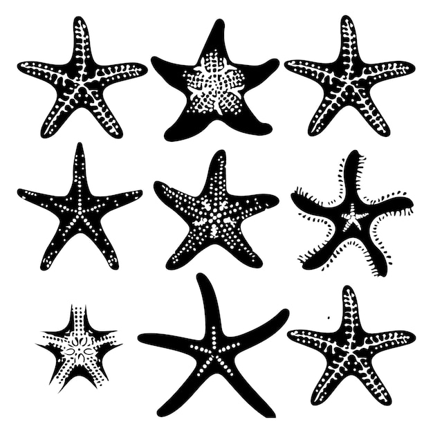 Vector a collection of starfish with a white background