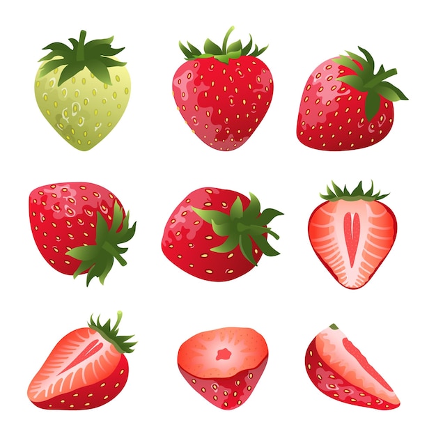 Vector collection of strawberry slices and whole fruits flat vector strawberry from different sides