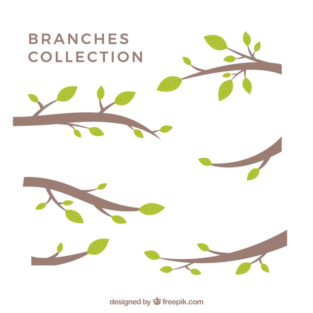 Collection of stylized branch silhouettes