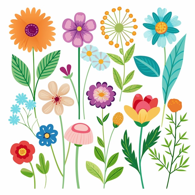 Vector collection of summer flower branches illustration