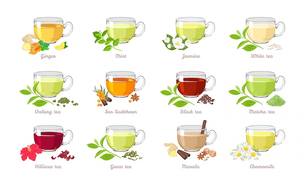 Vector collection of tea of different types.