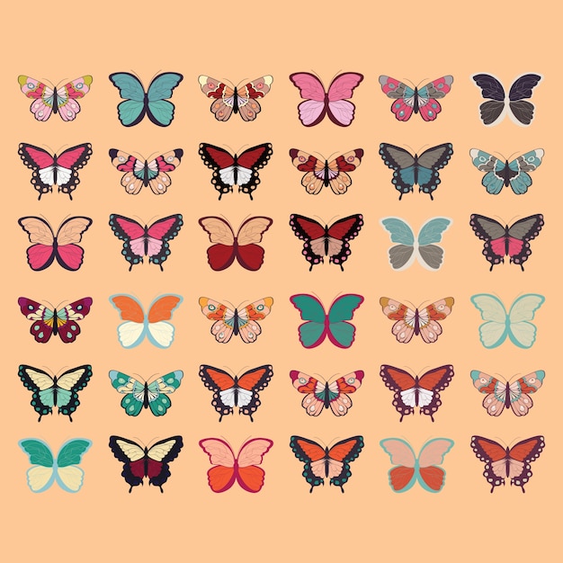 Collection of thirty six colorful hand drawn butterflies, orange background