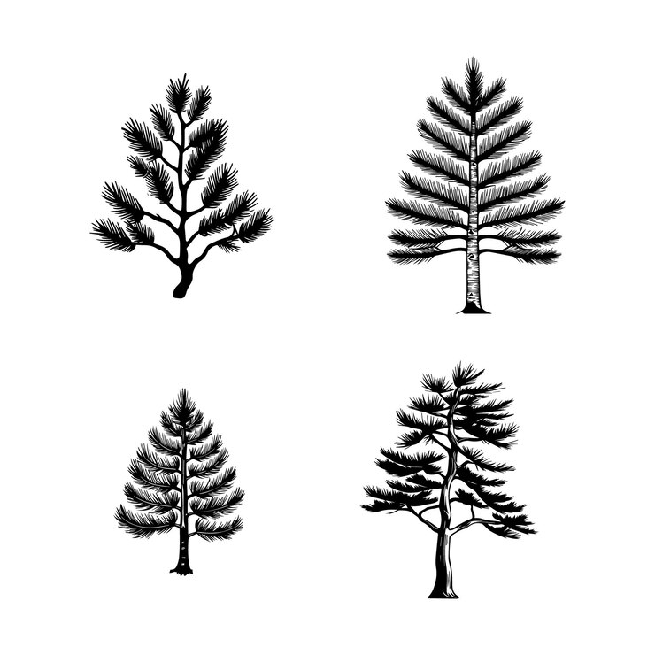 Vector a collection of trees from the collection of three different species