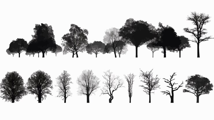 Vector a collection of trees including the seasons of the year