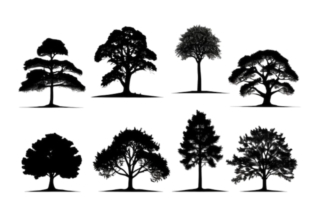 Vector a collection of trees with a white background that says trees
