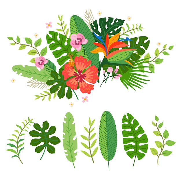 Vector collection of tropical flowers