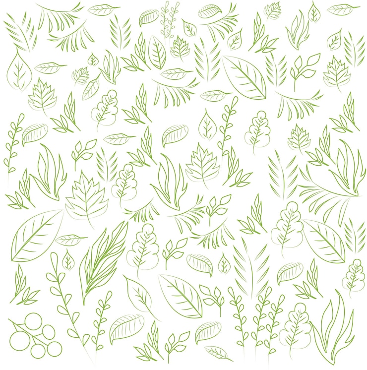 Vector collection of tropical green leaves line drawing hand drawn vector illustration stock eps