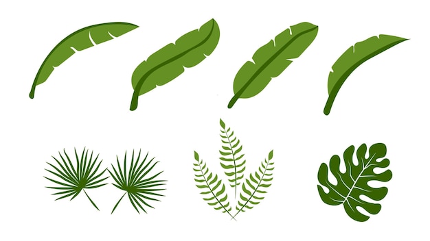 collection of tropical green leaves vector flat design