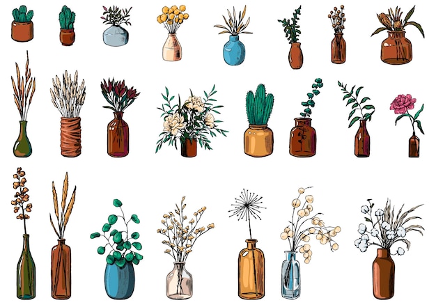 Vector collection of varied vases, bottles, jars of flowers, plants. hand drawn vector illustration. vintage botanical set. decorative floral colorful elements isolated in white.