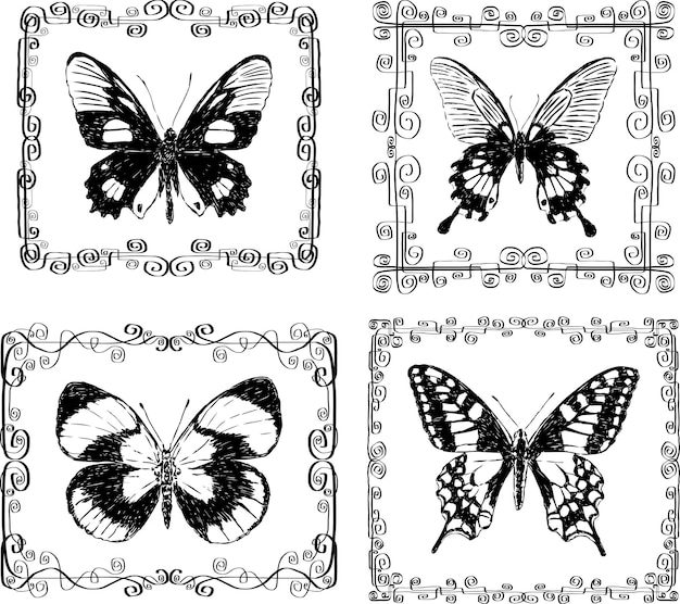 Collection of various drawn butterflies in decorative frames