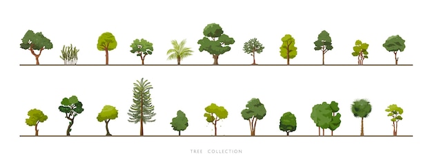 Collection of various green tree vector icon set on white background