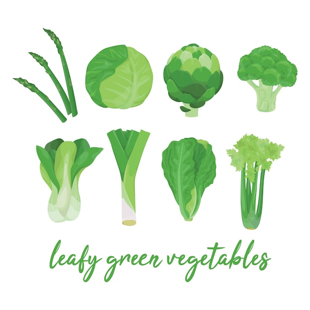 Collection of various hand drawn, colorful leafy green vegetables, isolated on a white background.